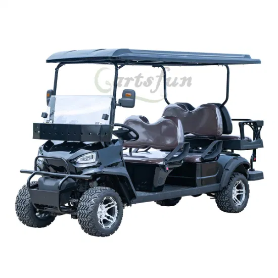 Factory Price 2+2 Seater Gas Electric Golf Cart with Lead